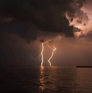 Meet your Posher, Precious